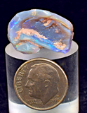 2.2 cms BLUE OPAL SHELL CLAMP FOSSIL AUSTRALIA COBBER PEDY 2000 DISCOVERY  OB141