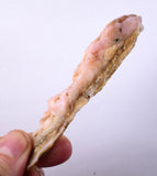 49.6grams GEM PINK OPAL PERU ROUGH CORAL COLOR TRANSLUCENT MINERAL PB10