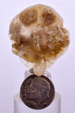 11 MINERALS COLLECTION FLAT WHOLESALE INCLUDING DISPLAY BOX PYRITE SILVER JB09