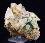 8.5cms CALCITE TOOTH DOG WITH QUARTZ CRYSTALS PERU SHINY MINERAL SPECIMEN GB45