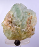 12cms GREEN FLUORITE CRYSTAL PERU PERU SHINY MINERAL SPECIMEN KB59