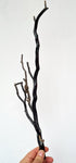 40cms GOLDEN BLACK CORAL POLISHED PERU NATURAL BRANCH SEA GENUINE VB05