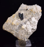 10.5cms HUBNERITE QUARTZ CRYSTALS MINERAL SPECIMEN COLLECTOR PERU MB113