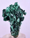 3.6cms MALACHITE MINI CRYSTALS CONGO MINDINGI MINE SHINY MINERAL SPECIMEN UB229