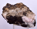 5.2cms ALABANDITE CRYSTALS PERU GEM UCHUCHACCUA MINE MINERAL SPECIMEN HB156