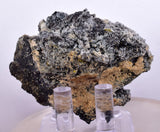 5.5cms PROUSTITE RUBY SILVER  QUARTZ PERU UCHUCCHACUA MINE MINERAL HB211
