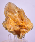 11.5cms GOLDEN SELENITE CRYSTAL PERU FISH TAIL SUISEKI TRANSLUCENT TB127