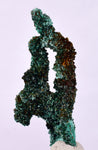 5.1cms MALACHITE CRYSTALS MINERAL SPECIMEN AHOULI MINES MOROCCO UB231