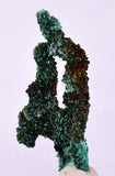 5.1cms MALACHITE CRYSTALS MINERAL SPECIMEN AHOULI MINES MOROCCO UB231