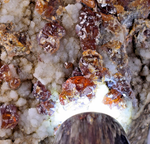 14cms GEM SPHALERITE RUBY BLEND ON QUARTZ PYRITE CRYSTALS PERU MB141