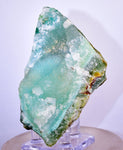 190grs GEM SILICA DRUZY CHRYSOCOLLA LILY MINE PERU CHALCEDONY QUARTZ ROUGH SB131