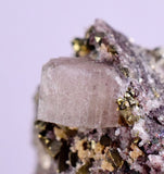 7.6cms APATITE SIDERITE QUARTZ CRYSTALS CHALCOPYRITE BORNITE PYRITE PERU AB67