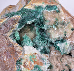 14cms GEM ATACAMITE INSIDE SELENITE CRYSTAL LILY MINE 2000 DISCOVERY PERU AB183