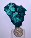 5cm GEM BLUE MALACHITE CHRYSOCOLLA PERU ROSETTE BOTRYOIDAL CRYSTAL GRAPE  UB186