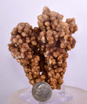 7.5cms ARAGONITE BOTRYOIDAL CRYSTALS AESTHETIC MINERAL SPECIMEN PERU EB47