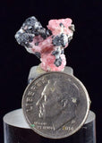1.6cms RHODOCHROSITE FLUORITE PYRITE CRYSTAL RHOMBOHEDRAL SUPER MINIATURE RB308