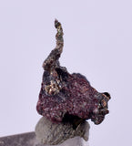 0.9cms NATIVE SILVER WIRE PERU UCHUCCHACUA MINE MINERAL SPECIMEN HB220