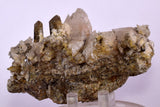 10.5cms CALCITE TOOTH DOG WITH QUARTZ CRYSTALS PERU SHINY MINERAL SPECIMEN GB17