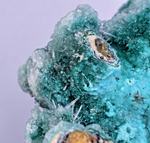 20cm GEM CHRYSOCOLLA IN SELENITE LILY MINE PERU MALACHITE STALACTITES CB359