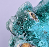 20cm GEM CHRYSOCOLLA IN SELENITE LILY MINE PERU MALACHITE STALACTITES CB359