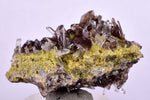 3.8cms PREMIUM AXINITE  QUARTZ CRYSTALS PERU AESTHETIC COLLECTOR AB195