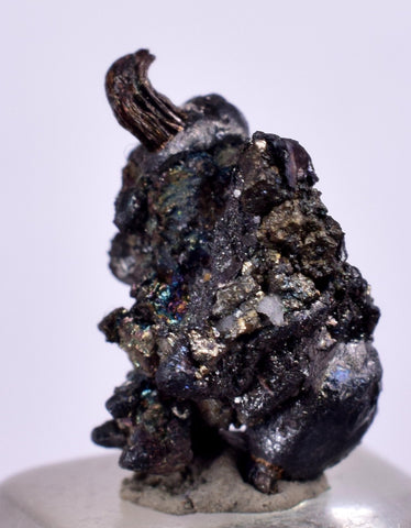 1.1cms NATIVE SILVER WIRE PERU ACANTHITE UCHUCCHACUA MINE MINERAL SPECIMEN HB197