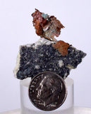 3.4cms NATIVE COPPER PERU CRYSTAL IRON NEW FIND SOME FINE IRIDESCENT IB26