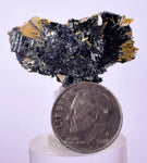 3.2cms GOLDEN RUTILE HEMATITE SPRAY NEEDLES CRYSTALS TITANIUM BAHIA BRAZIL  XB03