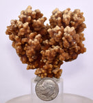 6.1cms ARAGONITE BOTRYOIDAL CRYSTALS AESTHETIC MINERAL SPECIMEN PERU EB45