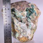 14cms GEM ATACAMITE INSIDE SELENITE CRYSTAL LILY MINE 2000 DISCOVERY PERU AB183