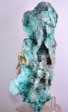 20cm GEM CHRYSOCOLLA IN SELENITE LILY MINE PERU MALACHITE STALACTITES CB359