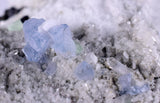 8.8ms  GREEN BLUE FLUORITE PYRITE CRYSTAL PERU HUANZALA MINE SHINY KB18