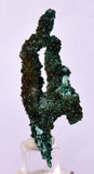 5.1cms MALACHITE CRYSTALS MINERAL SPECIMEN AHOULI MINES MOROCCO UB231