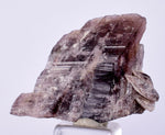 2.9cm GEM AXINITE CRYSTAL  PERU SUPER SHINY MINERAL SPECIMEN AB100