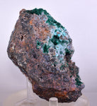 9cm GEM BROCHANTITE CHRYSOCOLLA MALACHITE DRUZY QUARTZ DIOPTASE ? CHILE ZB27