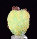 2.5cm PHOSPHOPHYLLITE APPLE BOTRYOIDAL CRYSTAL HOLY GRAIL OF MINERALS BOLIVIA