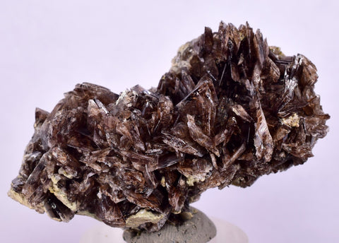 4.8cms PREMIUM AXINITE  CRYSTALS PERU AESTHETIC COLLECTOR AB198