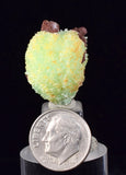 2.5cm PHOSPHOPHYLLITE APPLE BOTRYOIDAL CRYSTAL HOLY GRAIL OF MINERALS BOLIVIA