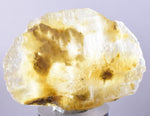 4.8 cms DESERT ROSE SELENITE CRYSTAL PERU GOLDEN SUISEKI TRANSLUCENT TB39