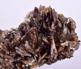 4.8cms PREMIUM AXINITE  CRYSTALS PERU AESTHETIC COLLECTOR AB198