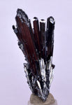 3.2cms STIBNITE CRYSTAL PERU MINERAL SPECIMEN COLLECTOR MB91