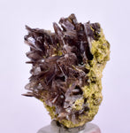 2.7cms PREMIUM AXINITE CRYSTALS PERU AESTHETIC COLLECTOR AB201