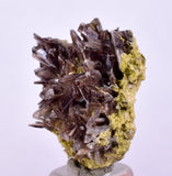 2.7cms PREMIUM AXINITE CRYSTALS PERU AESTHETIC COLLECTOR AB201