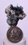 2.6cms STIBNITE CRYSTAL PERU MINERAL SPECIMEN COLLECTOR MB48