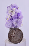 2.8cms COQUIMBITE ALUNOGEN CRYSTAL ROMERITE COPIATITE MINERAL SPECIMEN UB192