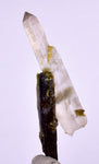 4.1cms PREMIUM EPIDOTE QUARTZ MINIATURE CRYSTALS PERU AESTHETIC COLLECTOR CB129