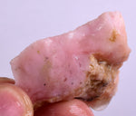 14 grams GEM PINK OPAL PERU ROUGH CORAL COLOR TRANSLUCENT MINERAL PB40