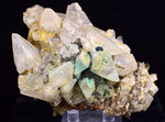 8.5cms CALCITE TOOTH DOG WITH QUARTZ CRYSTALS PERU SHINY MINERAL SPECIMEN GB45