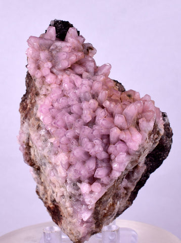 8cms COBALTOAN CALCITE SHINY CRYSTAL MOROCCO MINERAL SPECIMEN GB64
