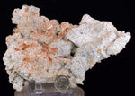 15cms LIMONITE IN SELENITE CRYSTAL COLLECTOR PERU MINERAL SPECIMEN TB129